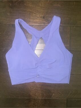 ARITZIA GOLDEN Purple V-Neck Racerback Sports Bra